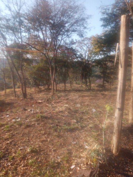 area-venda-area-para-venda-br-381-381274